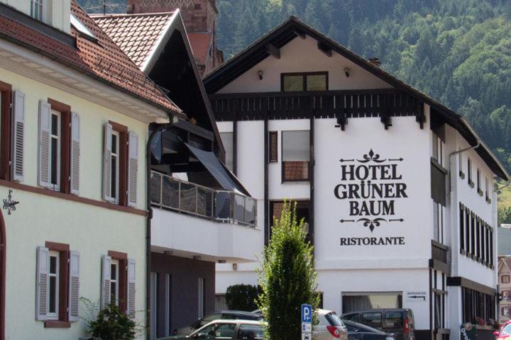 Hotel Grüner Baum - Melissone Italian Restaurant