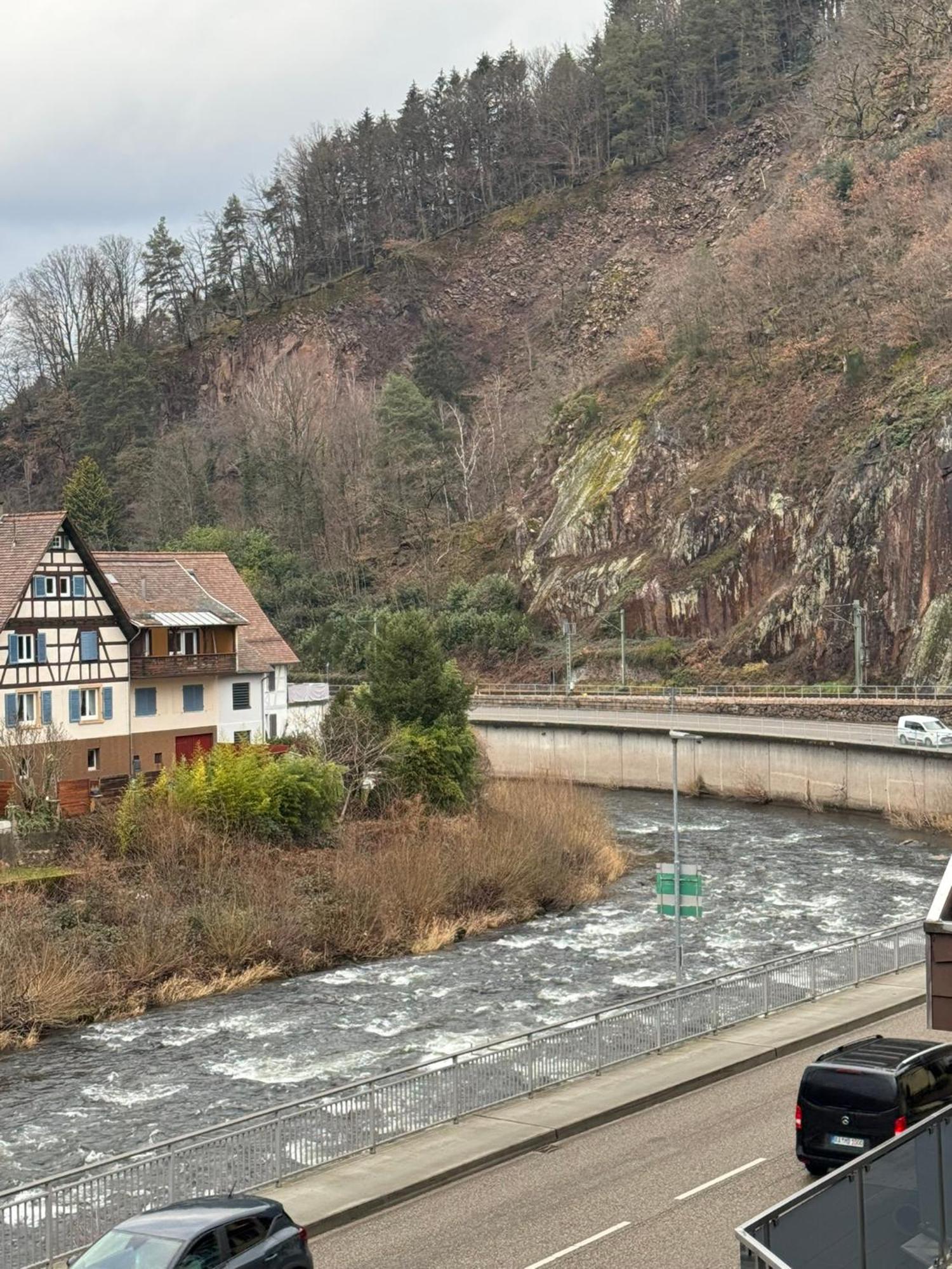 Grüner Baum - Melissone Italian Restaurant Weisenbach