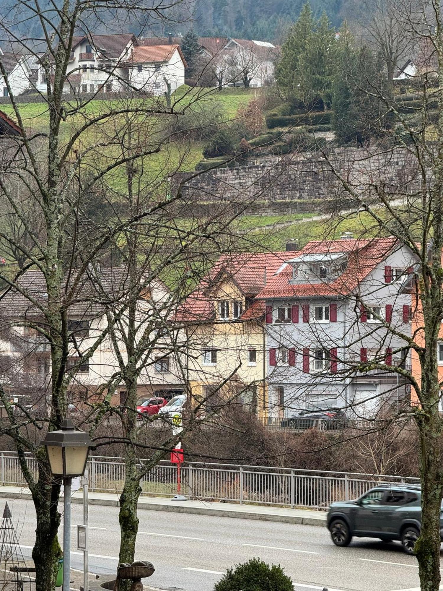 Grüner Baum - Melissone Italian Restaurant Hotel *